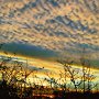 Wolkenherde